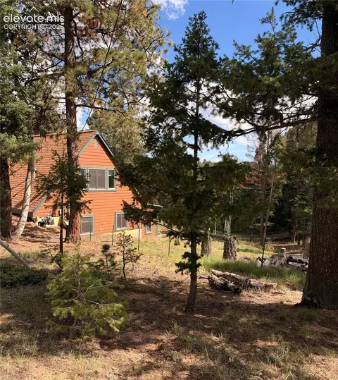 Other - 36 Summit Lake Dr, Divide, CO 80814 photo 7 of 10