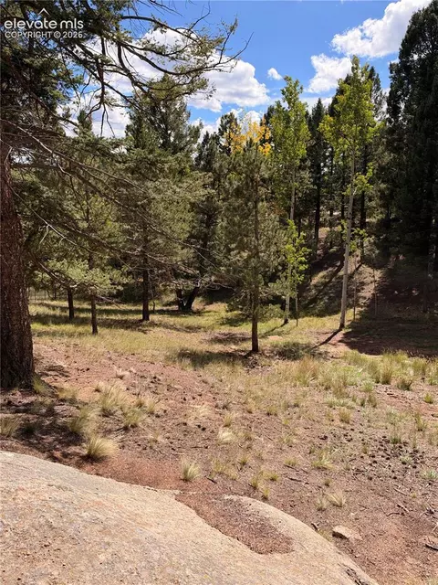 Other - 36 Summit Lake Dr, Divide, CO 80814 photo 9 of 10