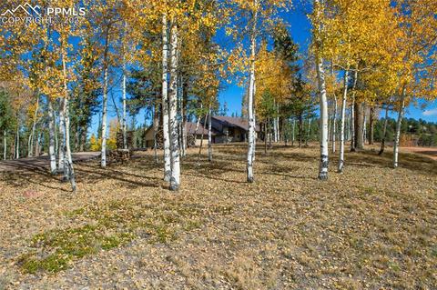 1698 Spring Valley Dr, Divide, CO 80814 photo 34