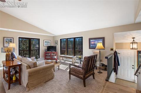 1698 Spring Valley Dr, Divide, CO 80814 photo 9