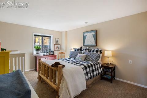 1698 Spring Valley Dr, Divide, CO 80814 photo 28