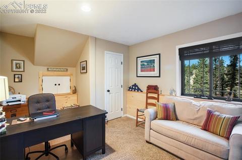 1698 Spring Valley Dr, Divide, CO 80814 photo 25