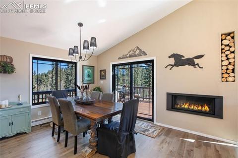 1698 Spring Valley Dr, Divide, CO 80814 photo 10