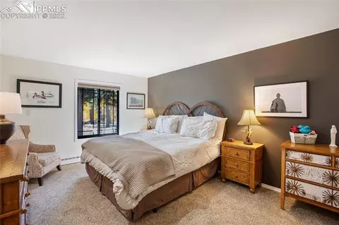 1698 Spring Valley Dr, Divide, CO 80814 photo 18