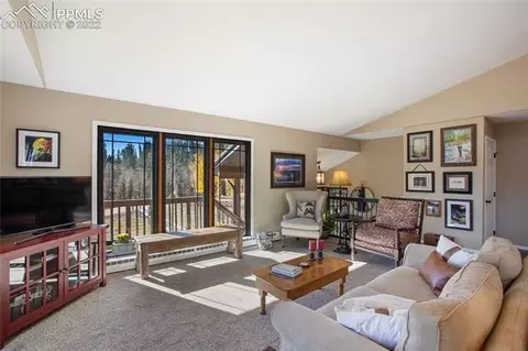 1698 Spring Valley Dr, Divide, CO 80814 photo 8