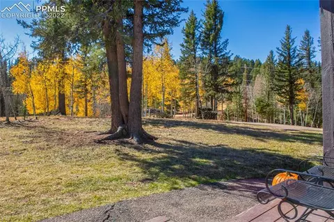 1698 Spring Valley Dr, Divide, CO 80814 photo 5