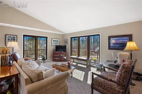 1698 Spring Valley Dr, Divide, CO 80814 photo 7