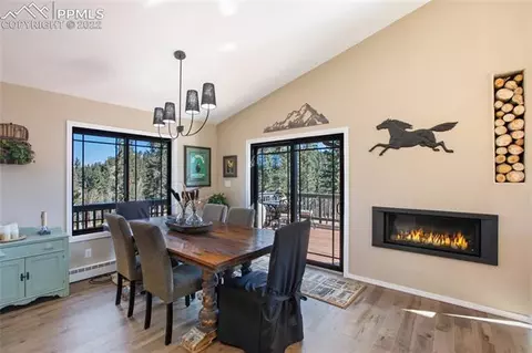 1698 Spring Valley Dr, Divide, CO 80814 photo 10