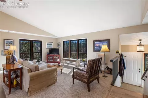 1698 Spring Valley Dr, Divide, CO 80814 photo 9