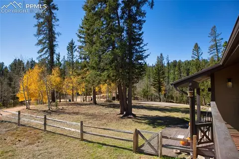 1698 Spring Valley Dr, Divide, CO 80814 photo 6