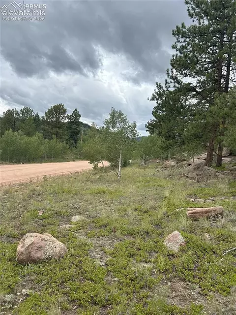 155 County Road 403, Florissant, CO 80816