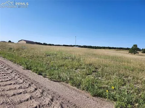 12205 Forest Green Dr, Elbert, CO 80106 photo 3