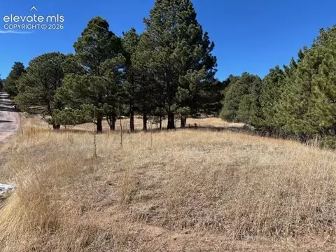 3560 Range View Rd, Monument, CO 80132 photo 2
