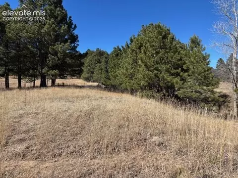 3560 Range View Rd, Monument, CO 80132 photo 3
