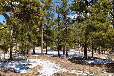 210 Post Rd, Park, CO 80820 photo 14