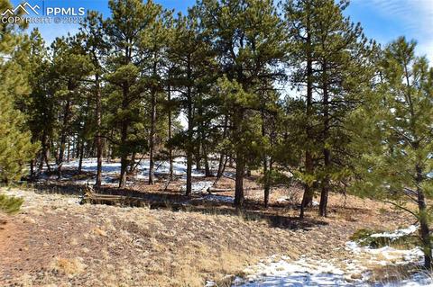 210 Post Rd, Park, CO 80820 photo 8