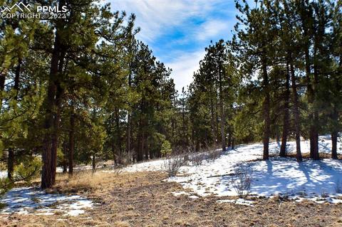 210 Post Rd, Park, CO 80820 photo 17