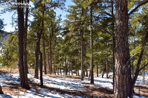 210 Post Rd, Park, CO 80820 photo 16