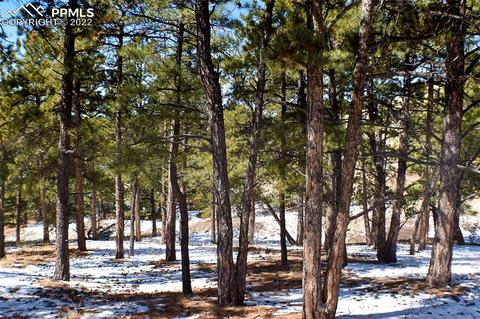 210 Post Rd, Park, CO 80820 photo 15