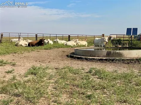 Shear Road, Rush, CO 80833 photo 26