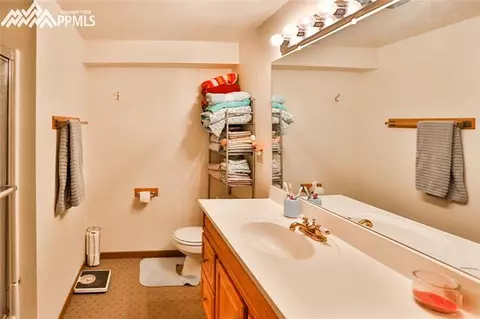 7770 Marriott Rd, Cascade, CO 80809 photo 24