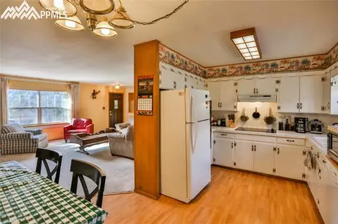 7770 Marriott Rd, Cascade, CO 80809 photo 7