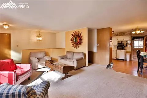 7770 Marriott Rd, Cascade, CO 80809 photo 6