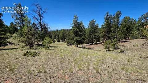 1366 N Mountain Estates Rd, Florissant, CO 80816