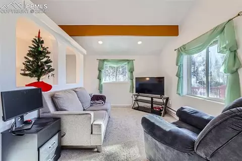 17618 Highway 67 Hwy, Divide, CO 80814 photo 8