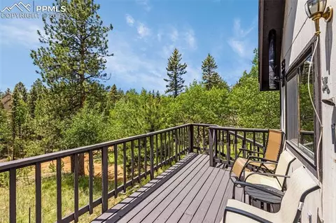 53 Lake Cir, Divide, CO 80814 photo 21