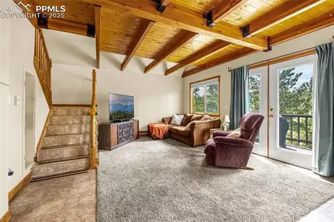 53 Lake Cir, Divide, CO 80814 photo 2