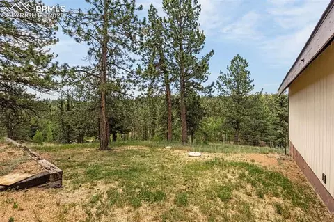 53 Lake Cir, Divide, CO 80814 photo 31