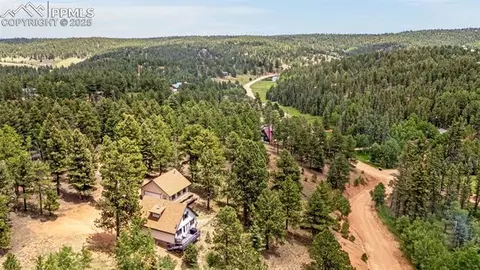 53 Lake Cir, Divide, CO 80814 photo 26