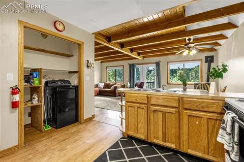 53 Lake Cir, Divide, CO 80814 photo 8