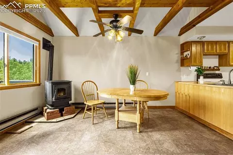 53 Lake Cir, Divide, CO 80814 photo 5