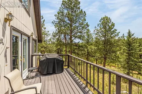 53 Lake Cir, Divide, CO 80814 photo 20