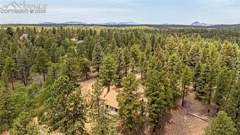 53 Lake Cir, Divide, CO 80814 photo 25