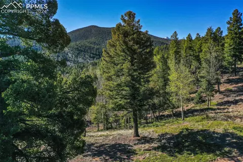 1100 Elk Ridge South Na Na, Divide, CO 80814