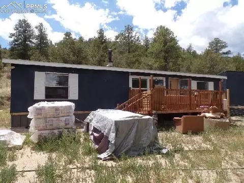 85 Harmon Ct, Cotopaxi, CO 81223 photo 1