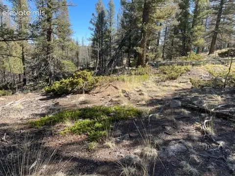 228 Alpine Dr, Florissant, CO 80816