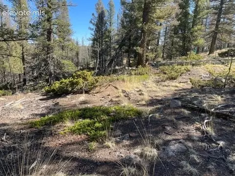 228 Alpine Dr, Florissant, CO 80816