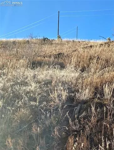 3587 County Road 33, Florissant, CO 80816