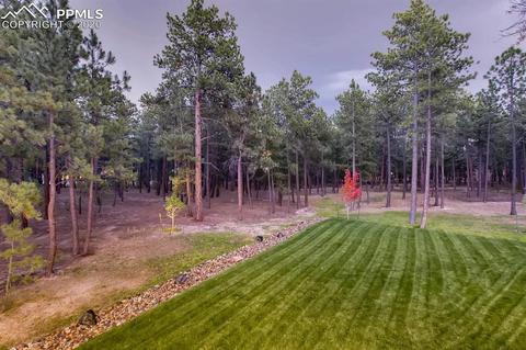 1330 Boldmere Ct, Monument, CO 80132 photo 39