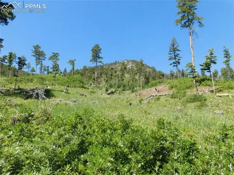 8249 Yuma Cir, Larkspur, CO 80118