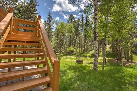4036 Omer Ln, Divide, CO 80814 photo 6