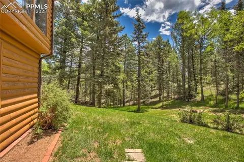 4036 Omer Ln, Divide, CO 80814 photo 41