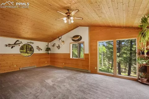 4036 Omer Ln, Divide, CO 80814 photo 2