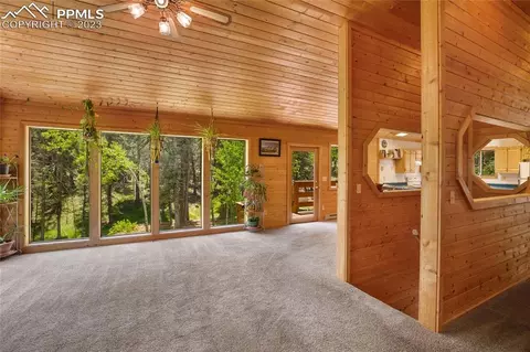4036 Omer Ln, Divide, CO 80814 photo 8