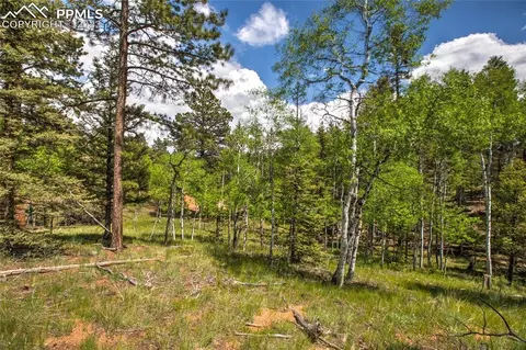 4036 Omer Ln, Divide, CO 80814 photo 37