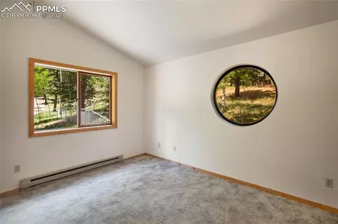 4036 Omer Ln, Divide, CO 80814 photo 16